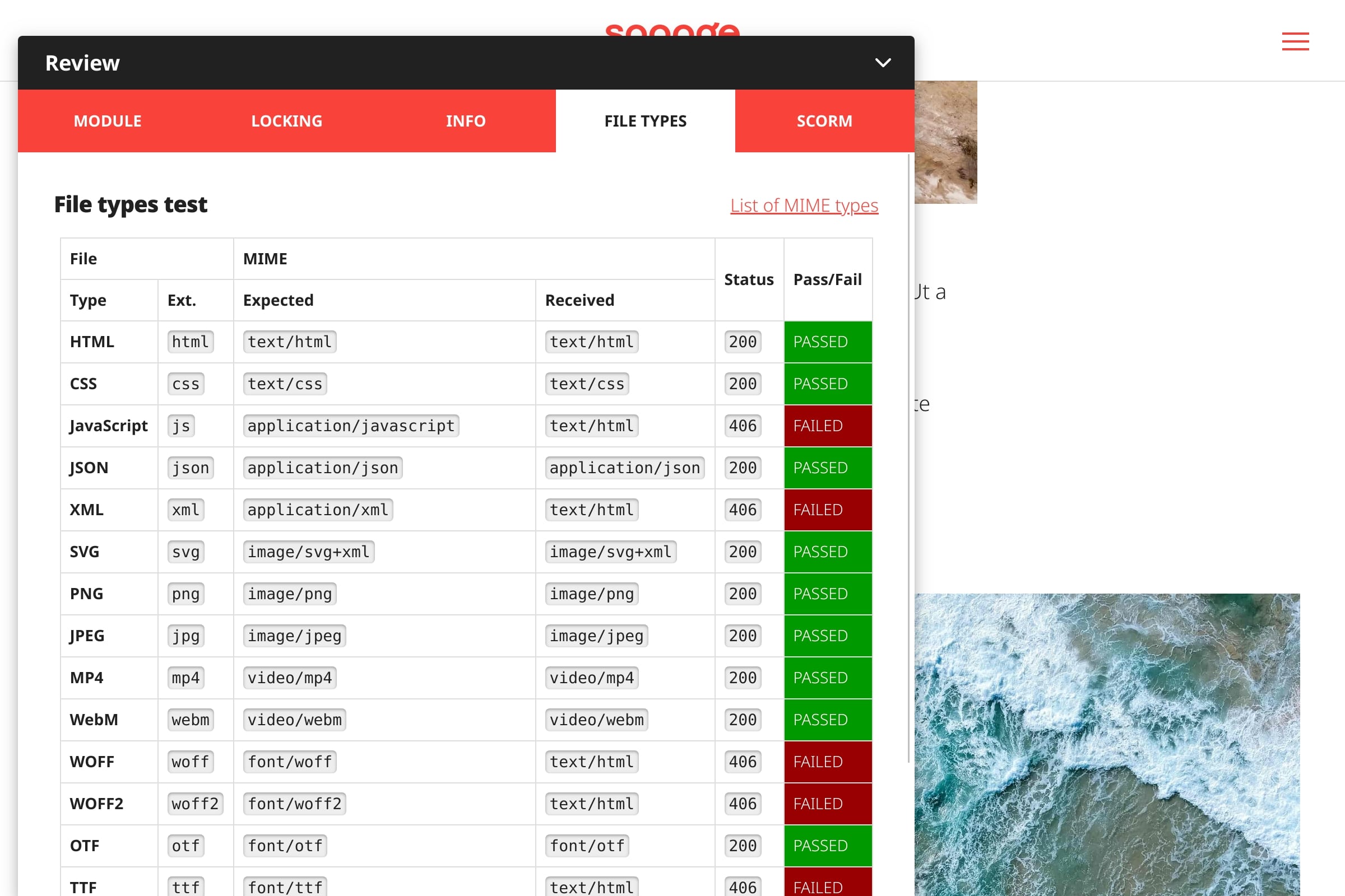 Coastline MIME type debugger